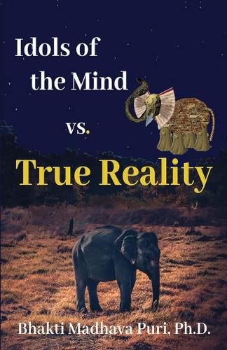 Cover image for Idols of the Mind vs. True Reality