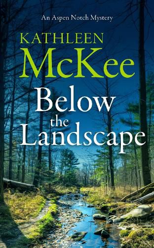 Cover image for Below the Landscape