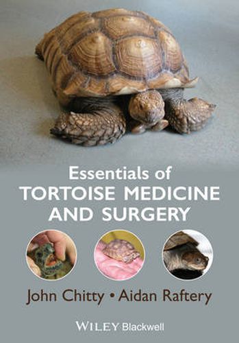 Cover image for Essentials of Tortoise Medicine and Surgery