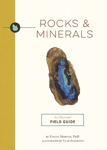 Cover image for Rocks and Minerals