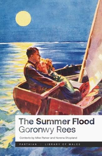 Cover image for The Summer Flood