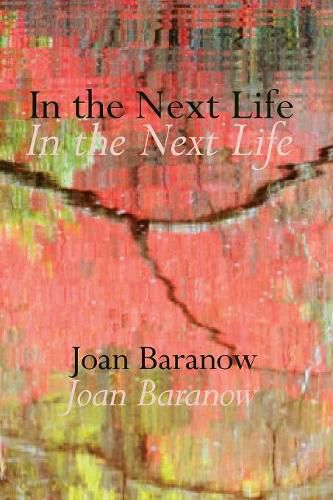 Cover image for In the Next Life