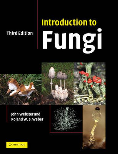 Cover image for Introduction to Fungi