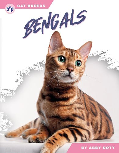 Cover image for Bengals