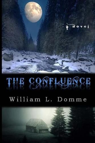 Cover image for The Confluence