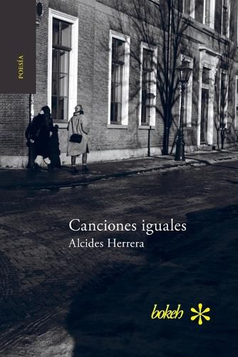 Cover image for Canciones iguales