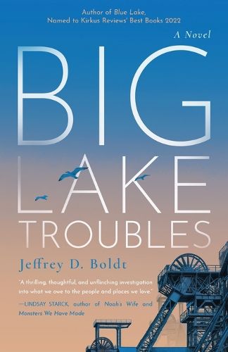 Cover image for Big Lake Troubles