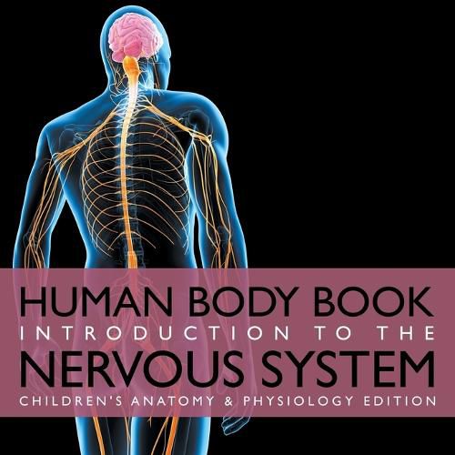 Cover image for Human Body Book Introduction to the Nervous System Children's Anatomy & Physiology Edition