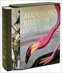 Cover image for Audubon's Birds of America