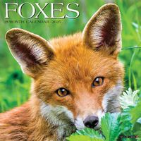 Cover image for Foxes 2025 12 X 12 Wall Calendar