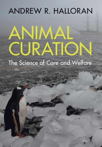 Cover image for Animal Curation