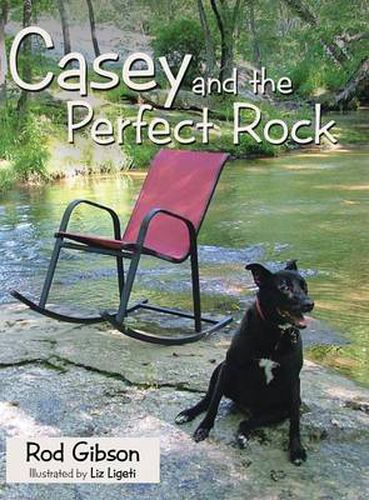 Cover image for Casey and the Perfect Rock