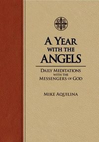 Cover image for A Year with the Angels: Daily Meditations with the Messengers of God