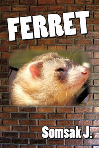 Cover image for Ferret