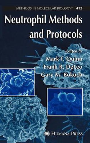 Cover image for Neutrophil Methods and Protocols