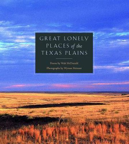 Cover image for Great Lonely Places of the Texas Plains