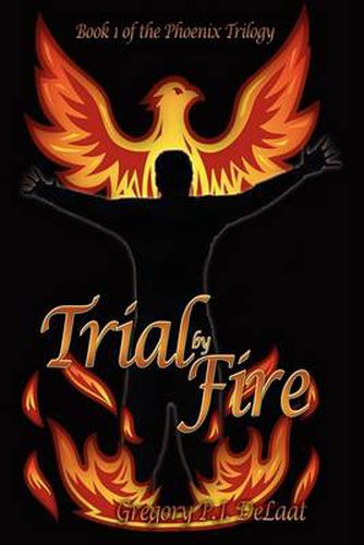 Cover image for Trial by Fire