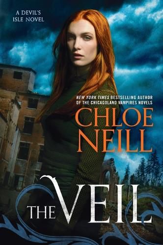 Cover image for The Veil