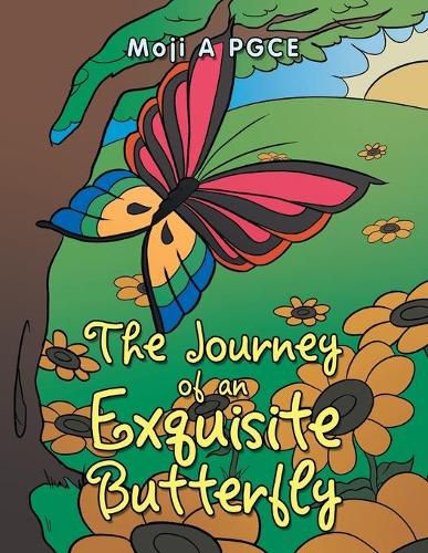 Cover image for The Journey of an Exquisite Butterfly