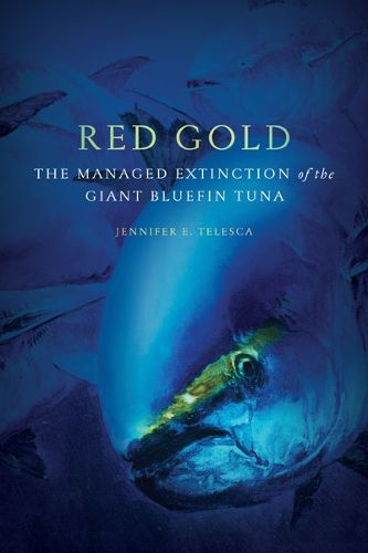Cover image for Red Gold: The Managed Extinction of the Giant Bluefin Tuna