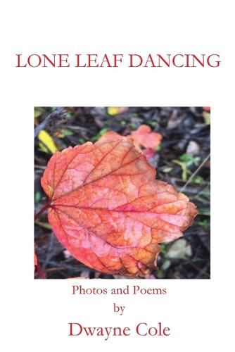 Cover image for Lone Leaf Dancing