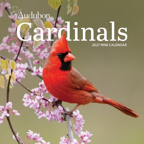 Cover image for Audubon Cardinals Mini Wall Calendar 2027