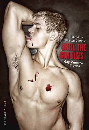 Cover image for Until the Sun Rises: Gay Vampire Erotica