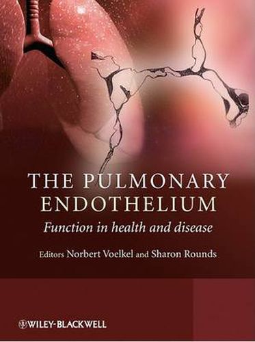 Cover image for The Pulmonary Endothelium: Function in Health and Disease