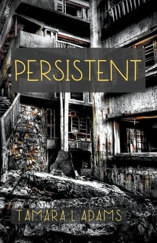 Cover image for Persistent