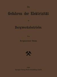 Cover image for Die Gefahren Der Elektrizitat Im Bergwerksbetriebe