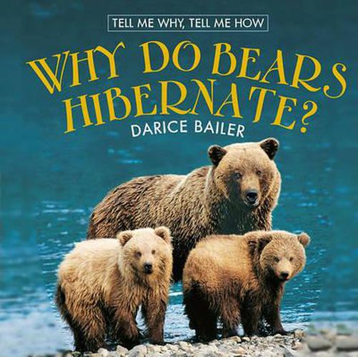 Why Do Bears Hibernate?