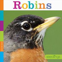 Cover image for Robins