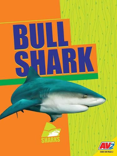 Cover image for Bull Shark