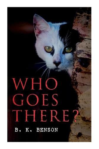 Who Goes There?: The Story of a Spy in the Civil War