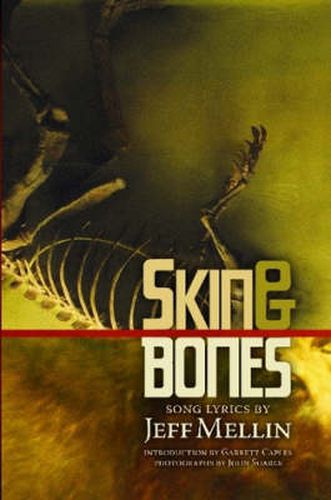 Cover image for Skin & Bones: Song Lyrics