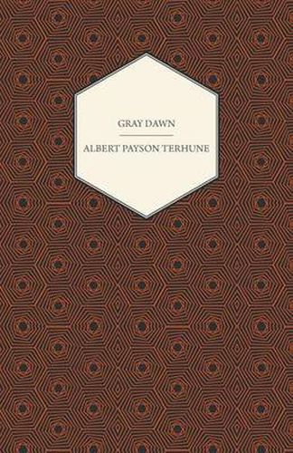 Cover image for Gray Dawn