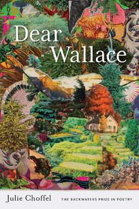 Cover image for Dear Wallace