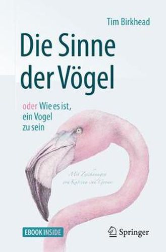 Cover image for Die Sinne der Voegel oder Wie es ist, ein Vogel zu sein: Mit Zeichnungen von Katrina van Grouw