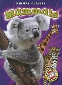 Cover image for Mammals