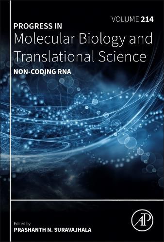 Cover image for Non-coding RNA: Volume 214