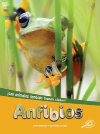 Cover image for Anfibios