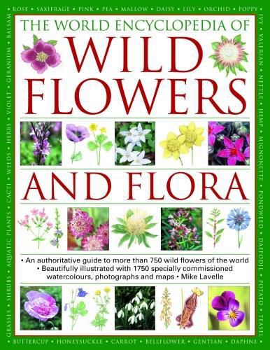 Cover image for Wild Flowers & Flora, The World Encyclopedia of: An authoritative guide to more than 750 wild flowers of the world, beautifully illustrated with more than 1750 specially commissioned watercolours, photographs and maps