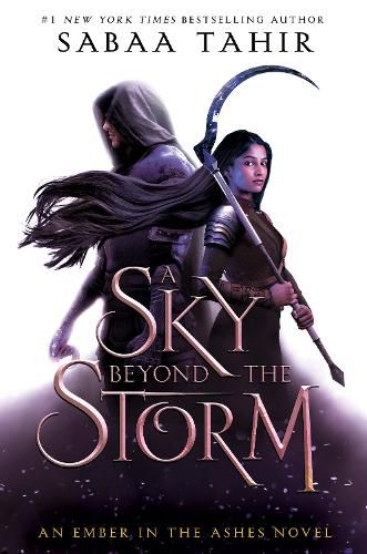 Cover image for A Sky Beyond the Storm