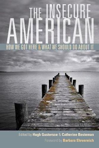 Cover image for The Insecure American: How We Got Here and What We Should Do About It