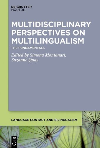 Cover image for Multidisciplinary Perspectives on Multilingualism: The Fundamentals