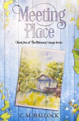 Cover image for Meeting Place