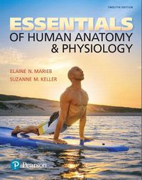 Cover image for Essentials of Human Anatomy & Physiology