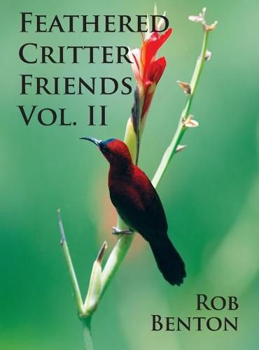 Cover image for Feathered Critter Friends Vol. II