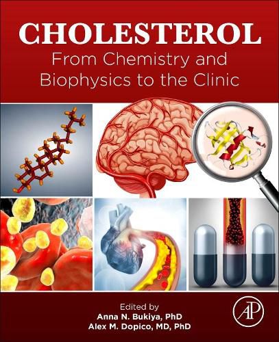 Cover image for Cholesterol: From Chemistry and Biophysics to the Clinic