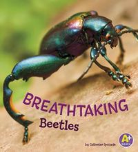 Cover image for Breathtaking Beetles (Bugs are Beautiful!)